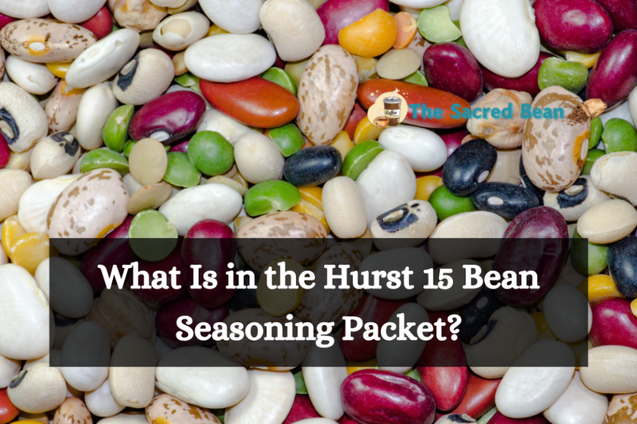 What Is in the Hurst 15 Bean Seasoning Packet?